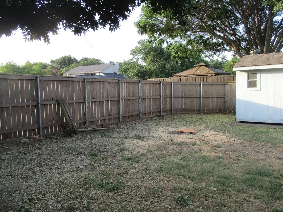 Cleared yard after professional tree removal in Tumbling Shoals