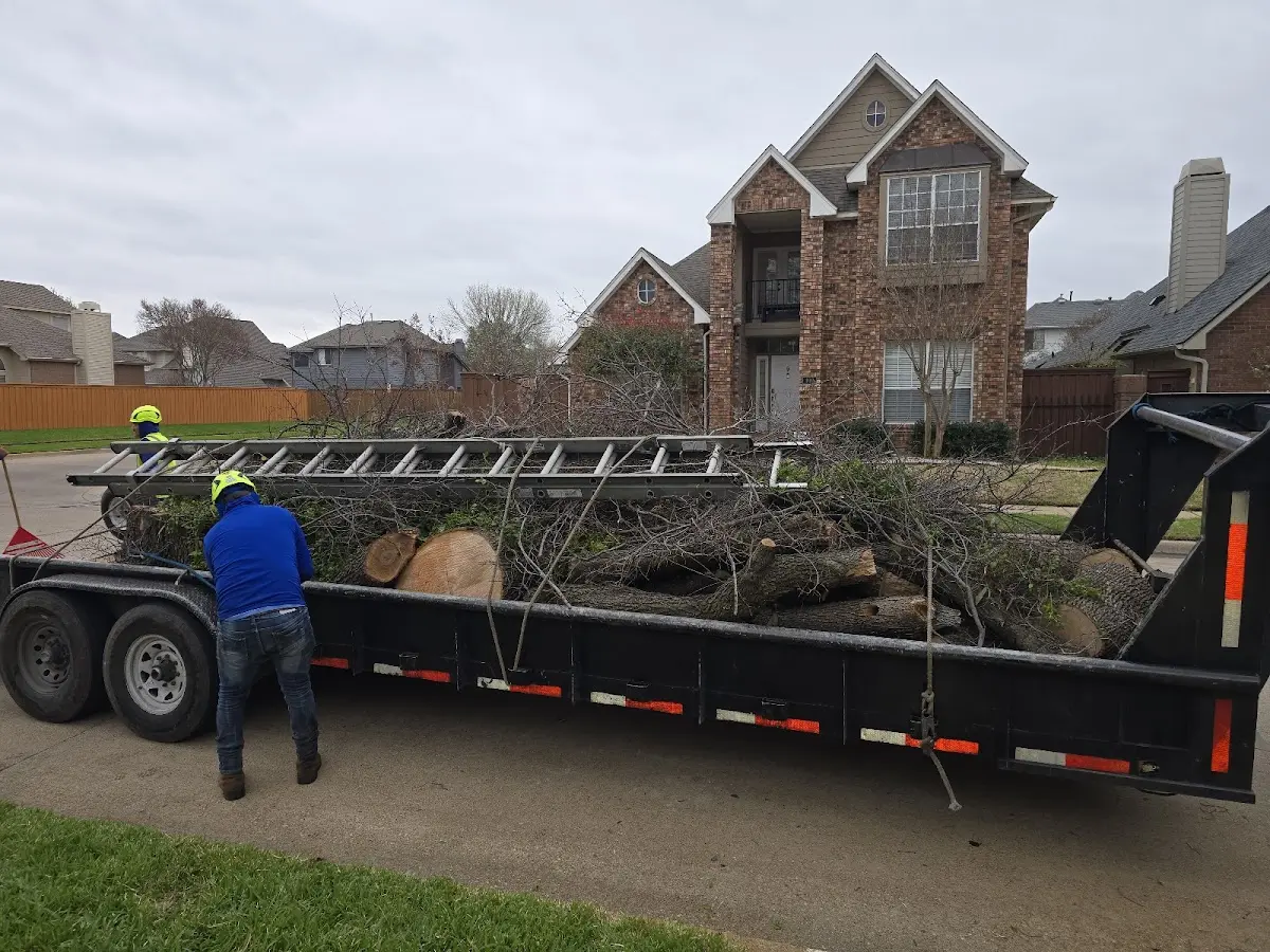 Expert Tree Removal with proper safety equipment in Tumbling Shoals